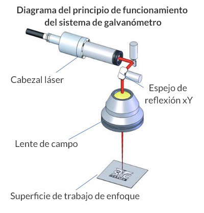 1721020625543345.jpg 1715336077618446 ES.jpg